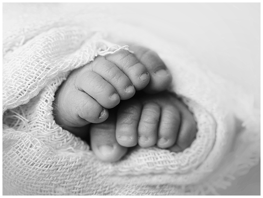 eloise-newborn-photos-_0247