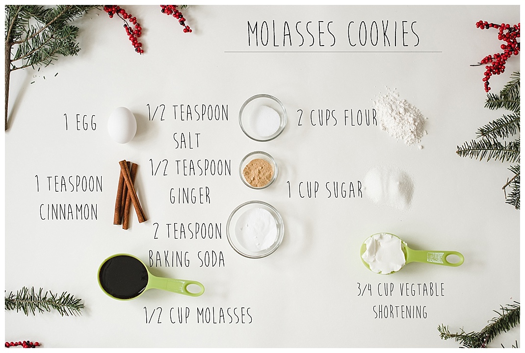 molasses-cookie-recipie_0553