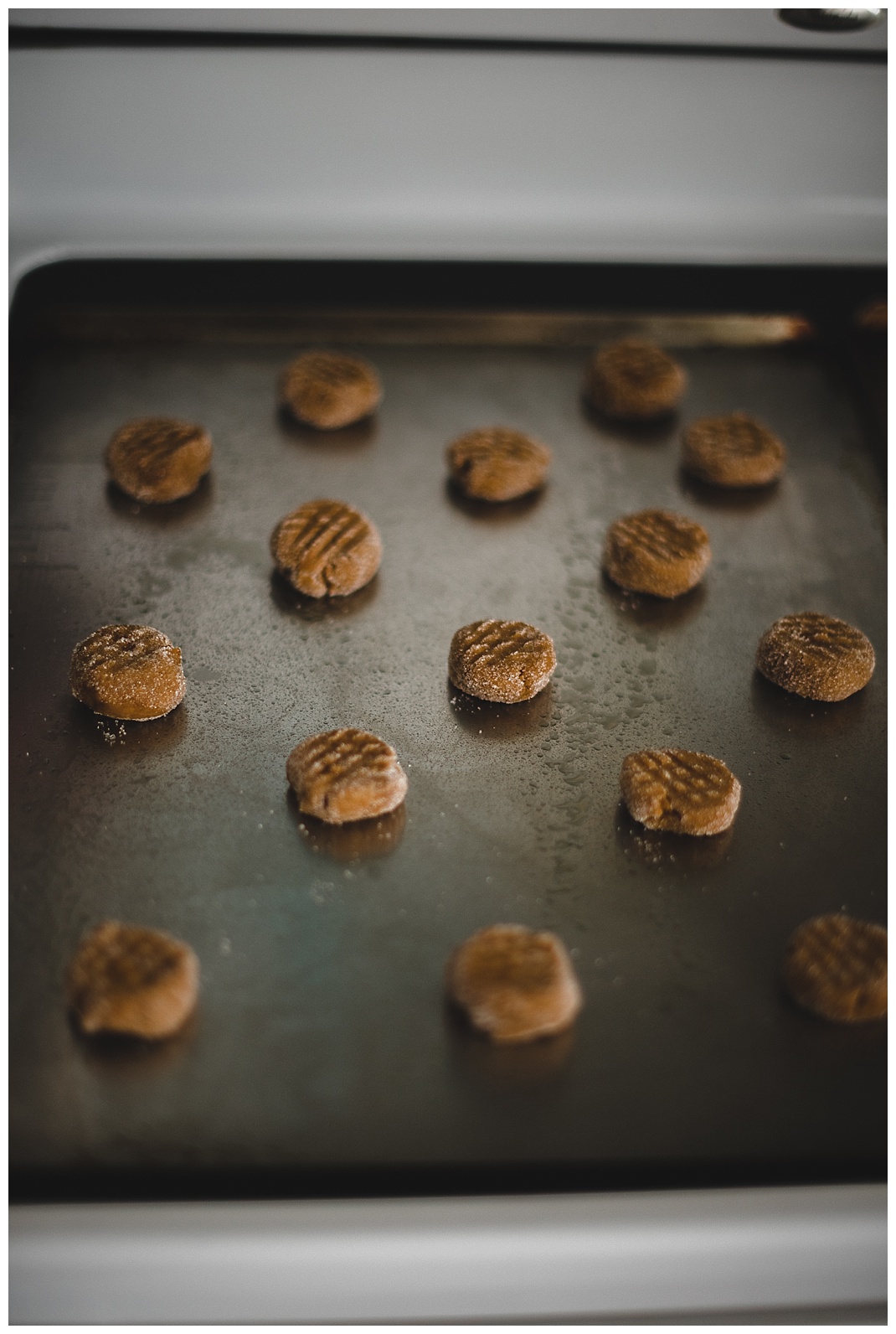 molasses-cookie-recipie_0555