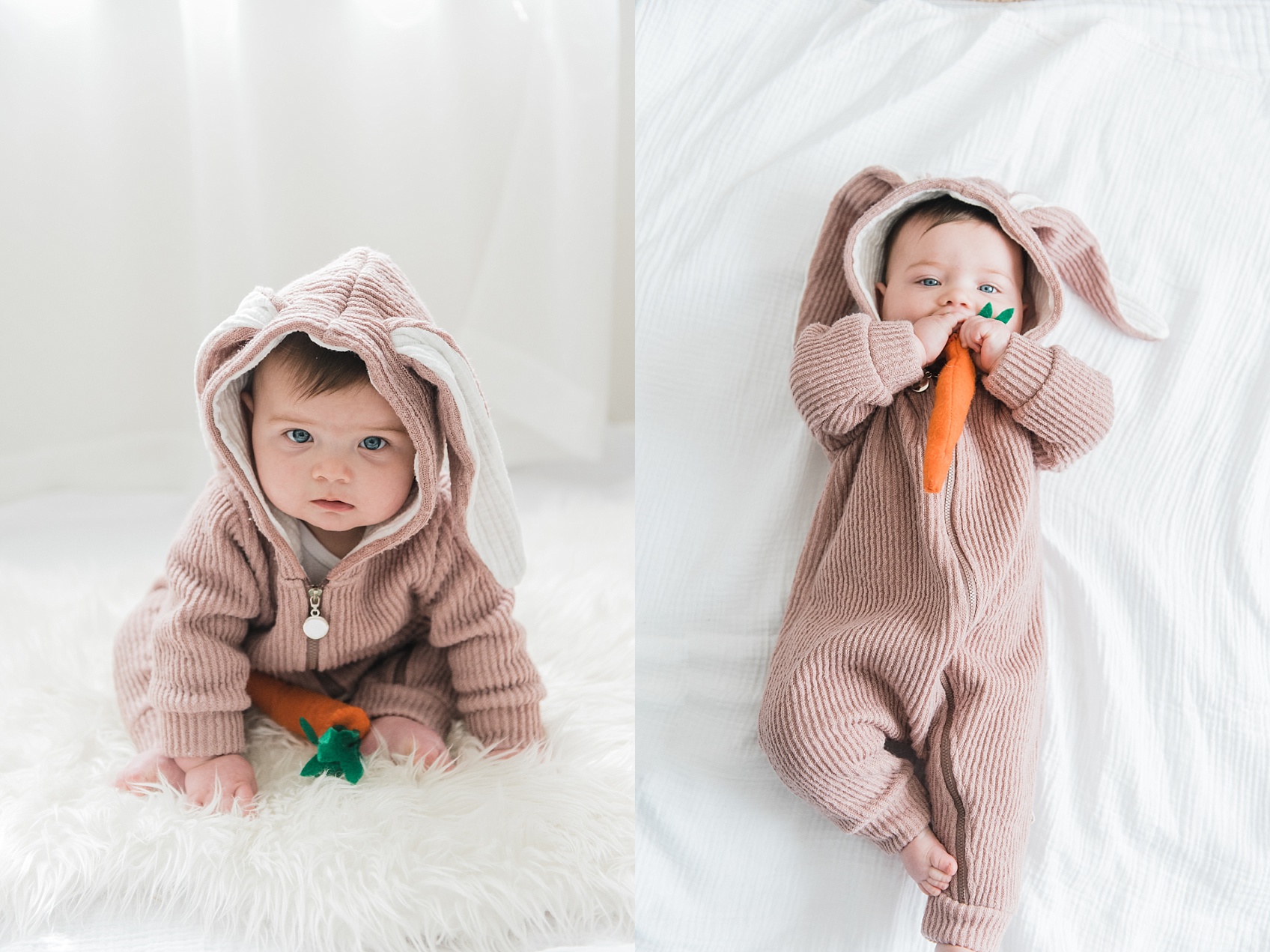 Baby Bunny_1564