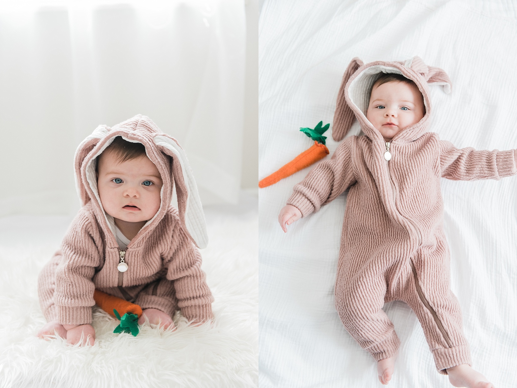 Baby Bunny_1571