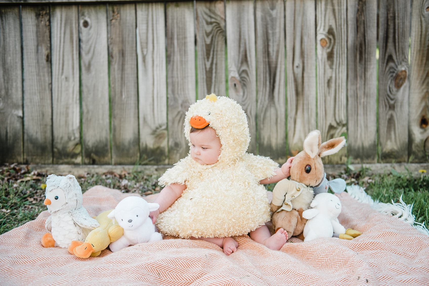 spring chick and peter rabbit_1686
