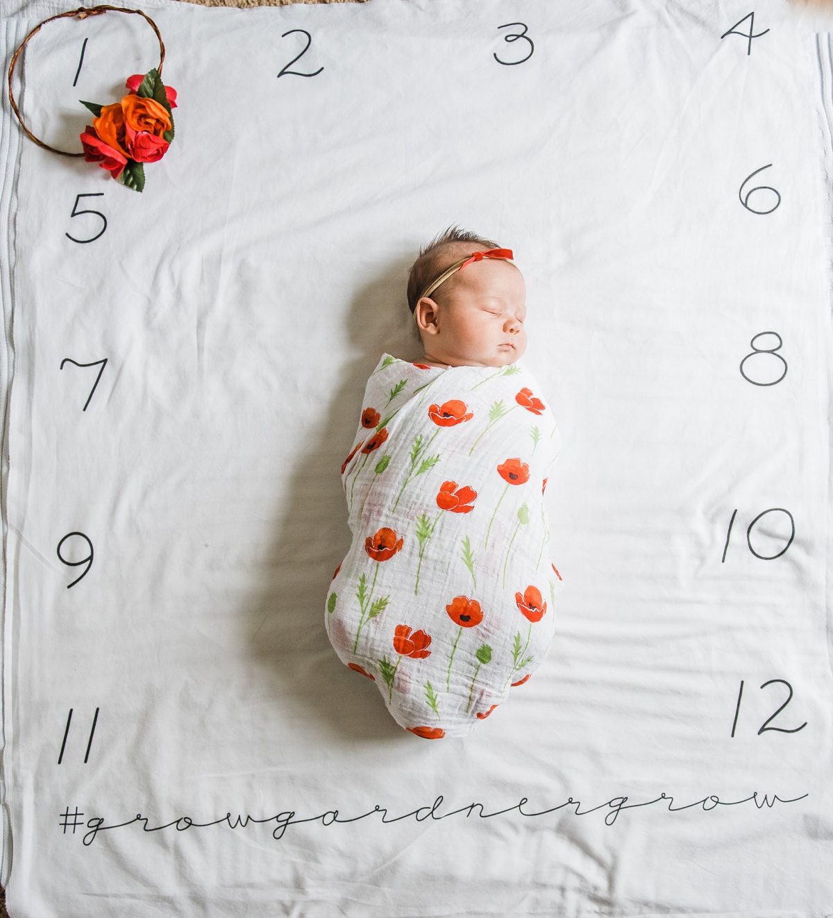1 Month Young – Hatsy June