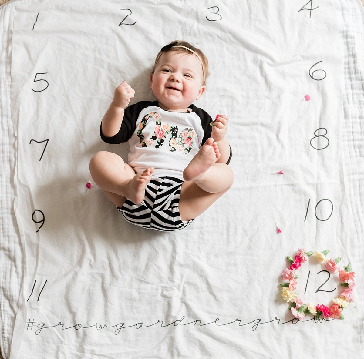 12 Months Young – Hatsy June – One Year Old