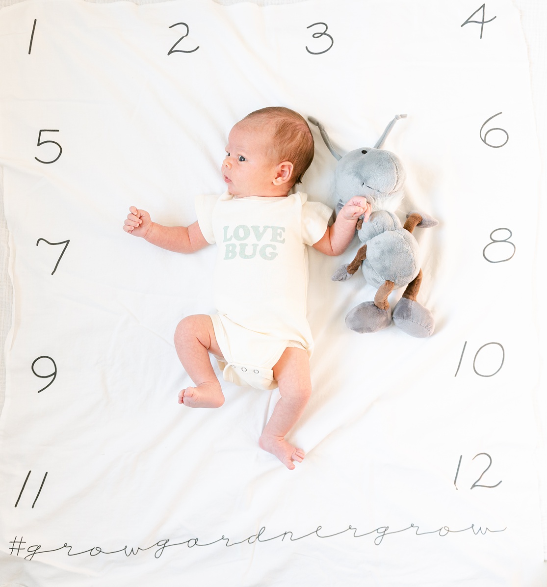 Mister One Month