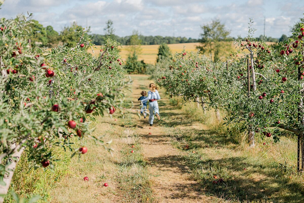 Apple Picking 2025